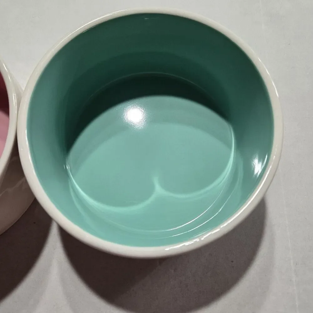Rae Dunn Ceramic Dog Cat Bowls SAVOR & NIBBLE Pink & Blue/Teal Set Medium